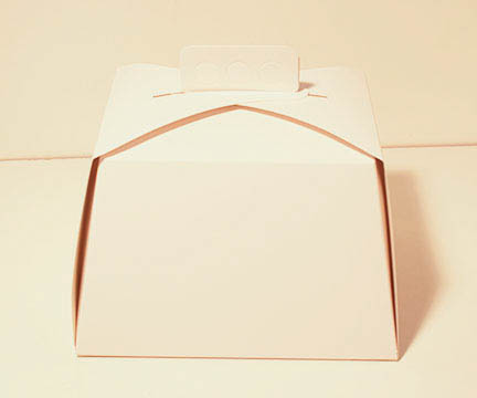 Caja de torta 27×12